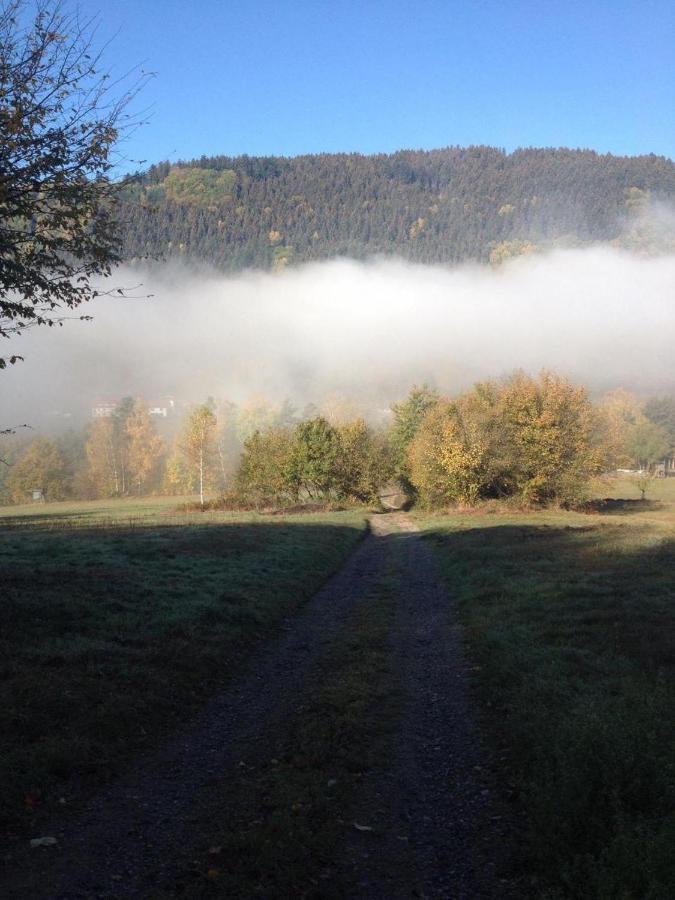 Waldnest Odenwald Hotel Eksteriør billede