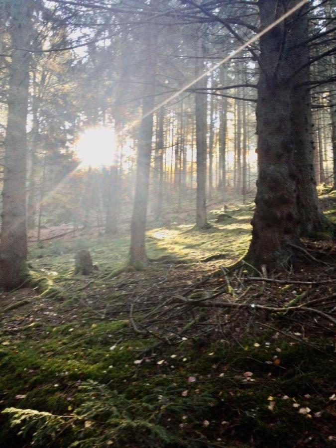Waldnest Odenwald Hotel Eksteriør billede