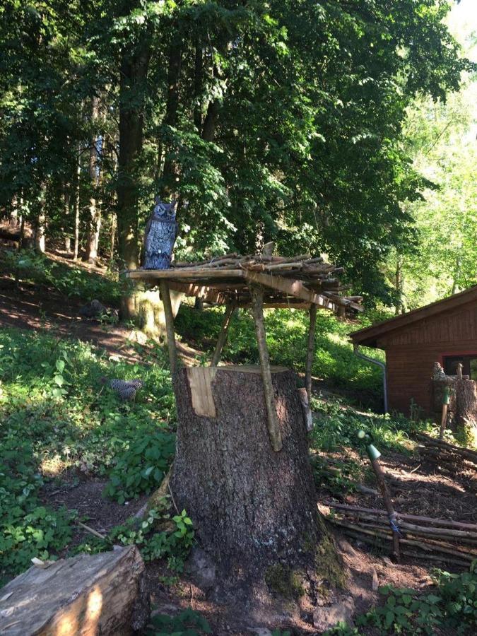 Waldnest Odenwald Hotel Eksteriør billede